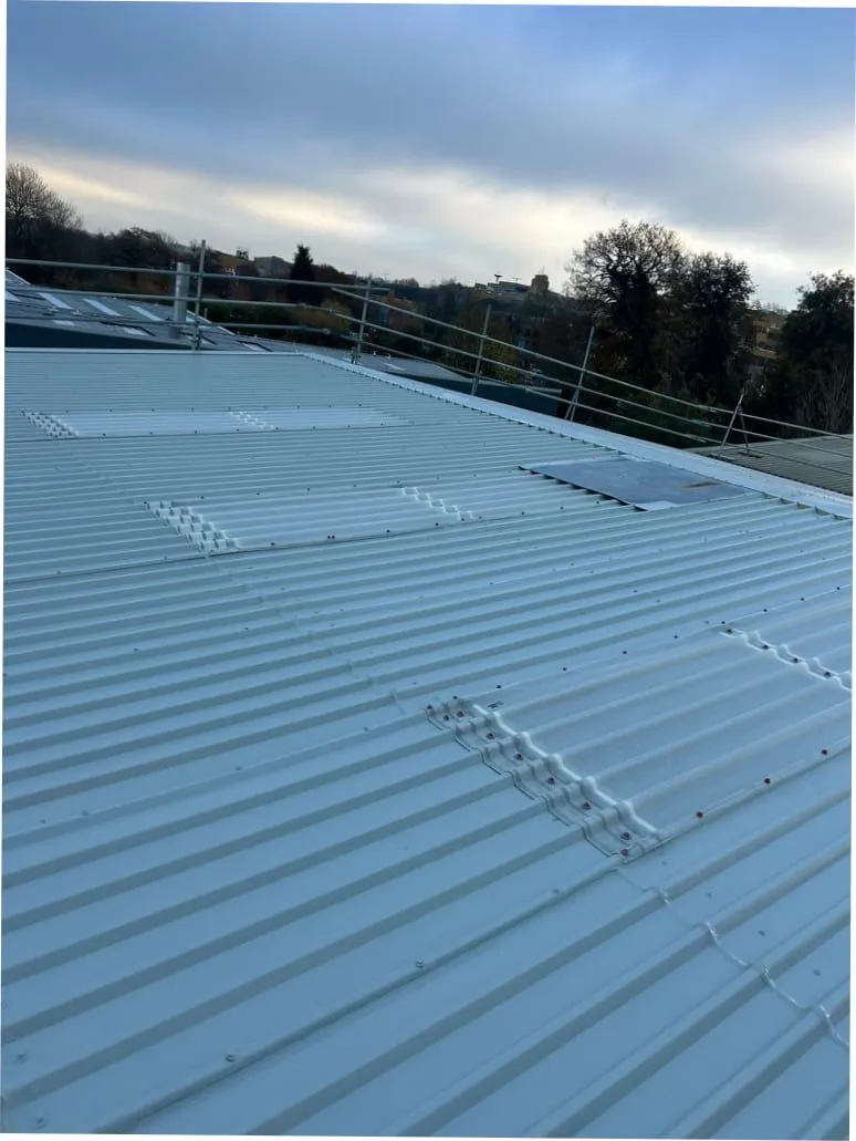 Close-up of a freshly coated industrial roof in protective white (illustrative)