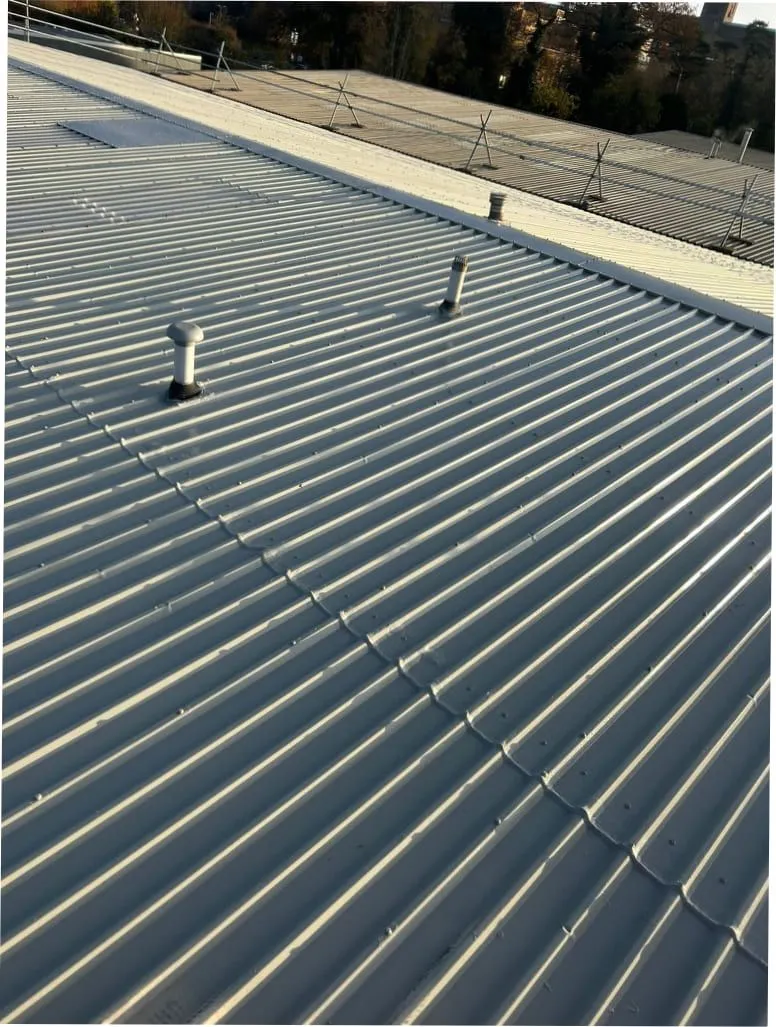 Asbestos roof sheet removal on an industrial building (illustrative)